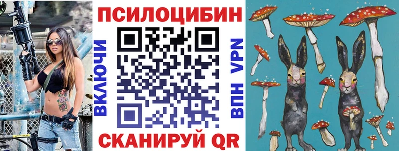 Псилоцибиновые грибы Magic Shrooms  Дегтярск 
